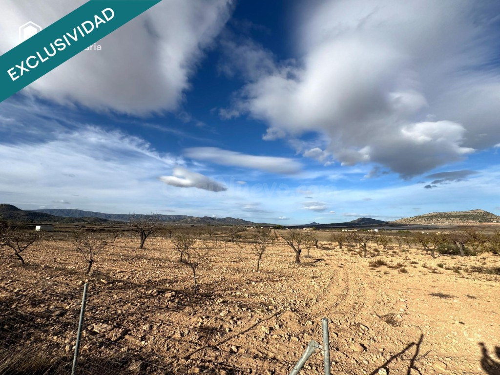 EXCLUSIVA OPORTUNIDAD – PARCELAS RÚSTICAS EN CASAS DE SANCHI - foto 3