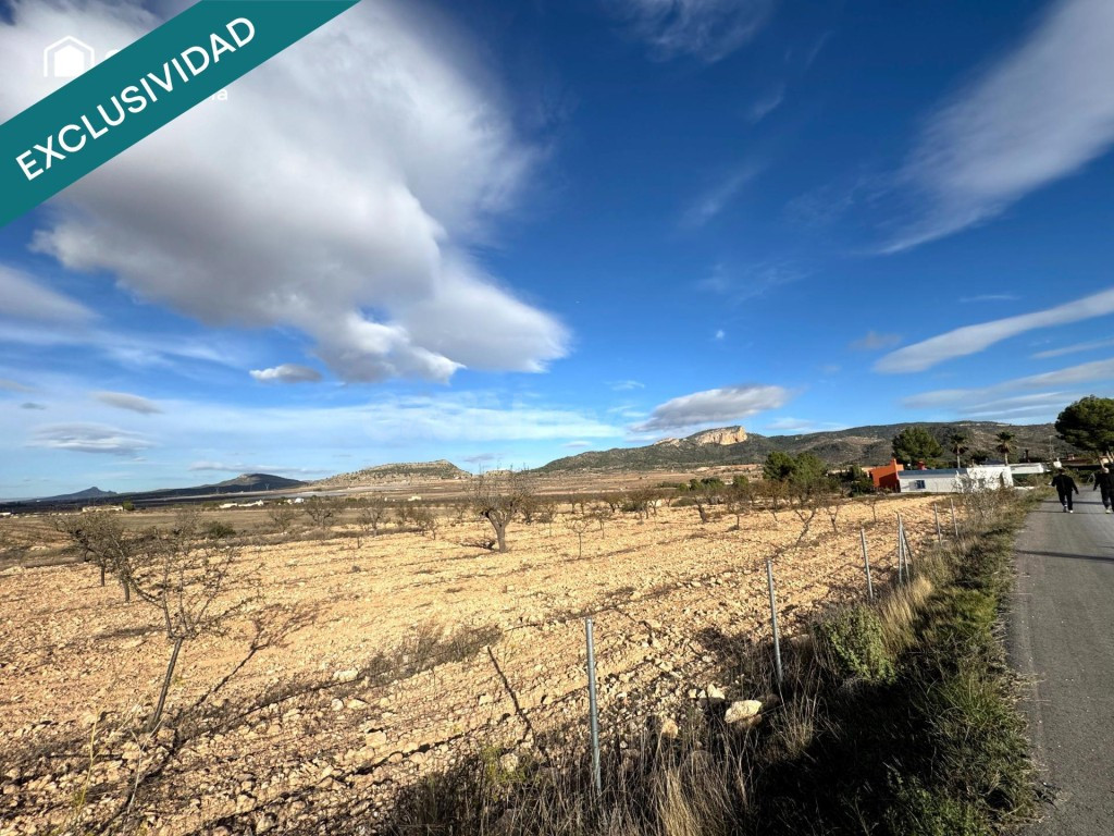 EXCLUSIVA OPORTUNIDAD – PARCELAS RÚSTICAS EN CASAS DE SANCHI - foto 4