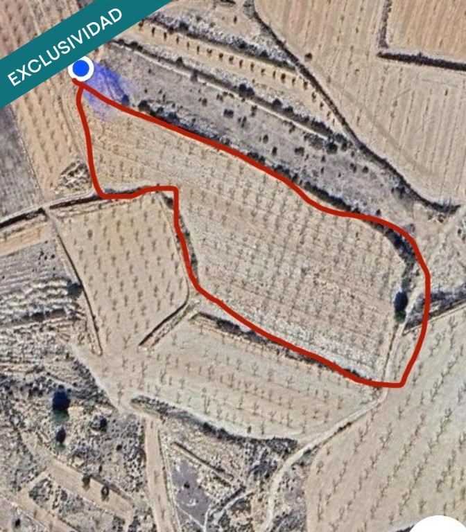 EXCLUSIVA OPORTUNIDAD – PARCELAS RÚSTICAS EN CASAS DE SANCHI - foto 2