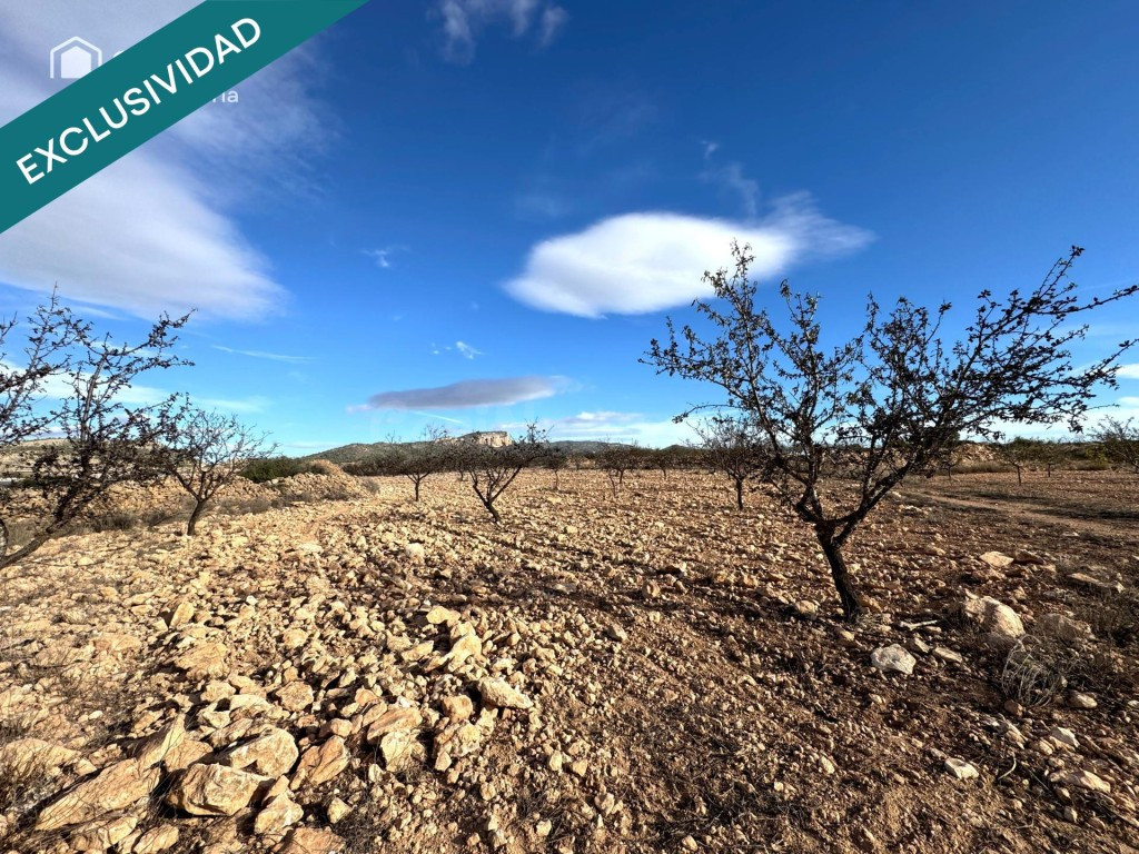 EXCLUSIVA OPORTUNIDAD – PARCELAS RÚSTICAS EN CASAS DE SANCHI - foto 3