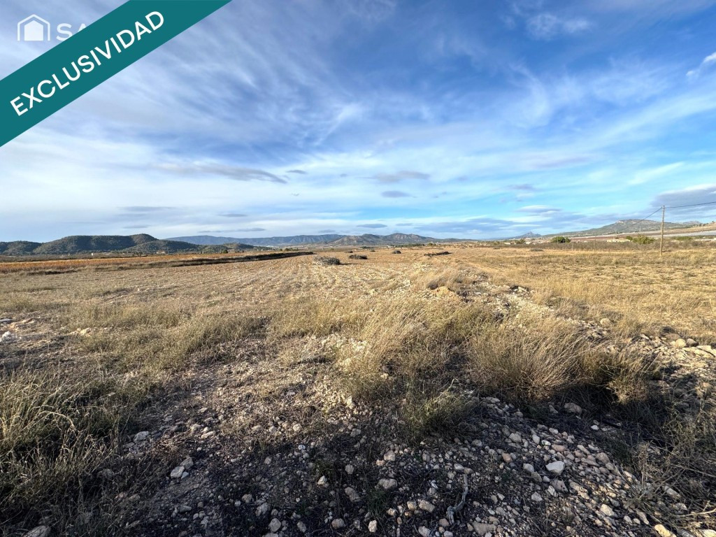 EXCLUSIVA OPORTUNIDAD – PARCELAS RÚSTICAS EN CASAS DE SANCHI - foto 3