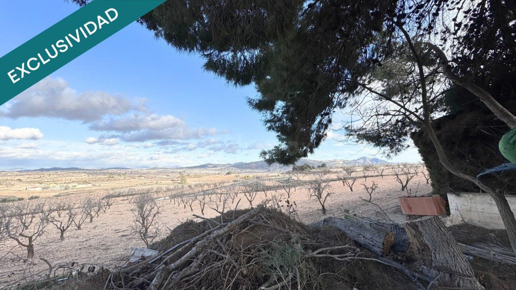 Casa cueva con terreno en Casas Ibáñez (Pinoso) - foto 3