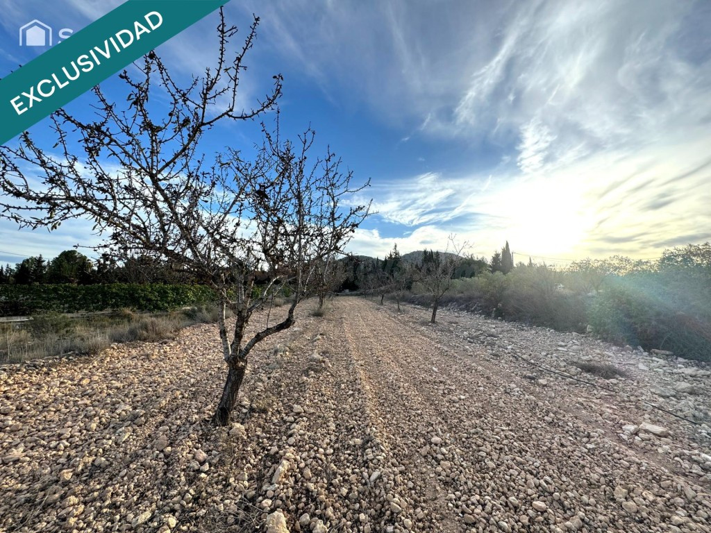 EXCLUSIVA OPORTUNIDAD – PARCELAS RÚSTICAS EN CASAS DE SANCHÍ - foto 4