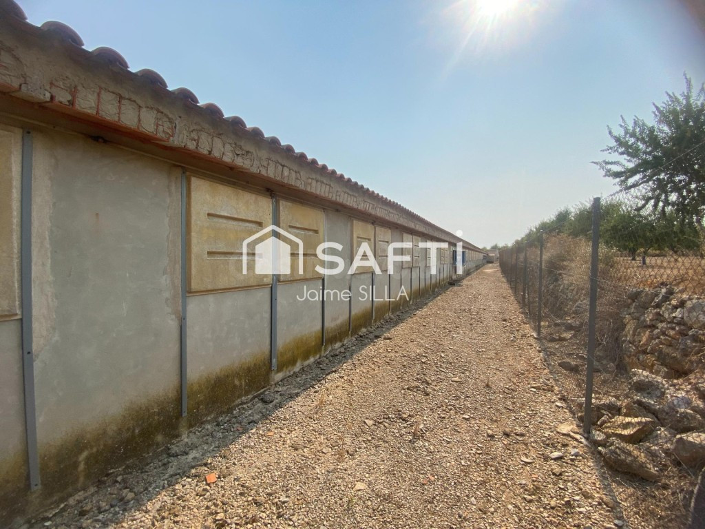 Nave de 1.500 m² con luz, agua a1 km de Alcublas - foto 4