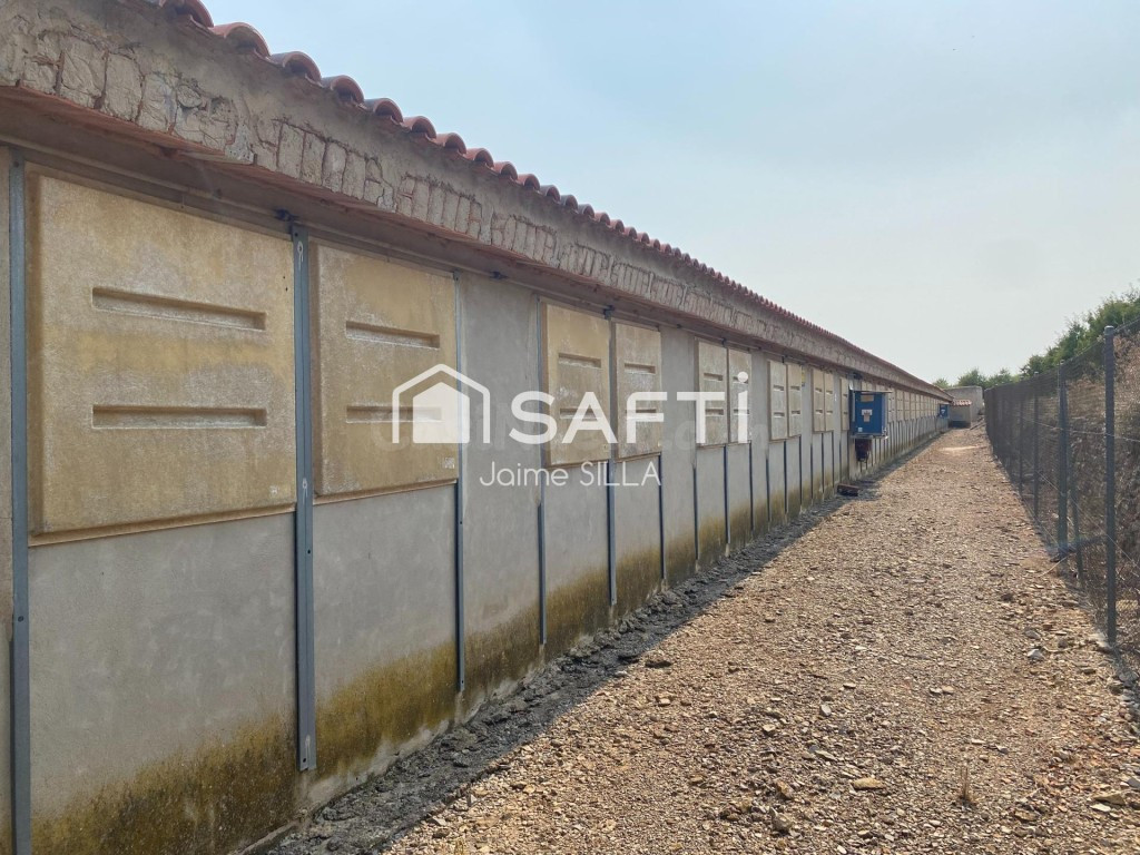 Nave de 1.500 m² con luz, agua a1 km de Alcublas - foto 5