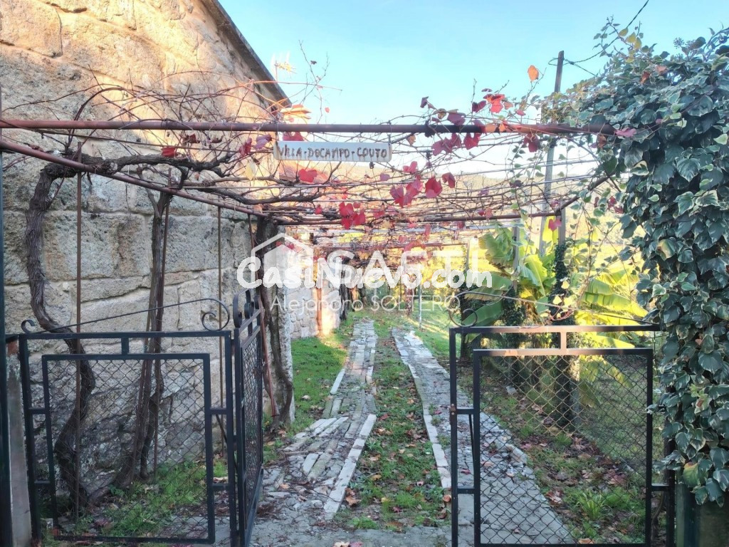 Tu refugio en zona vinícola, naturaleza y vistas - foto 3