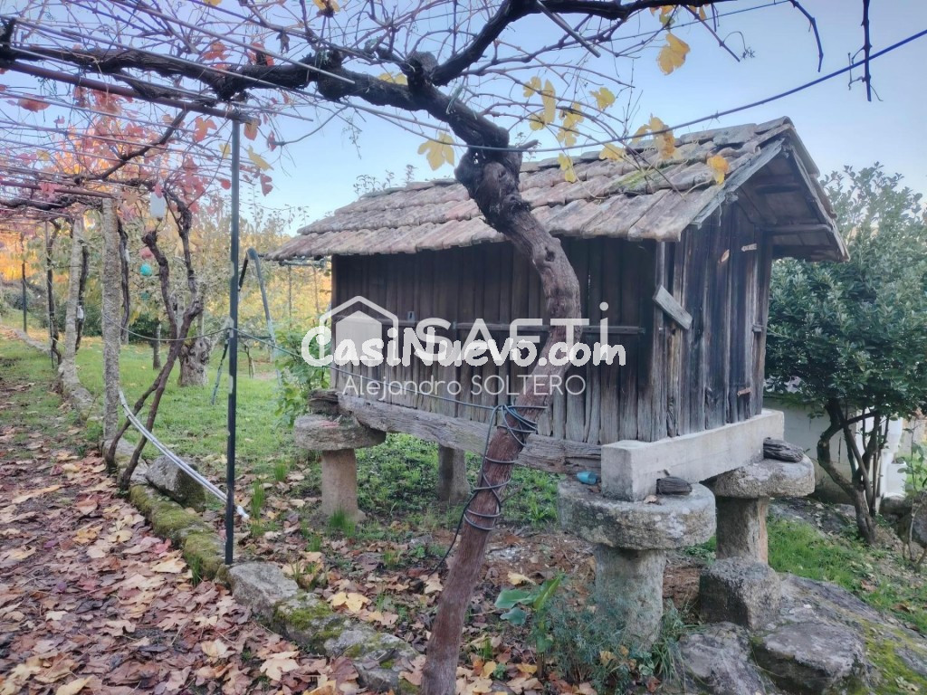 Tu refugio en zona vinícola, naturaleza y vistas - foto 5