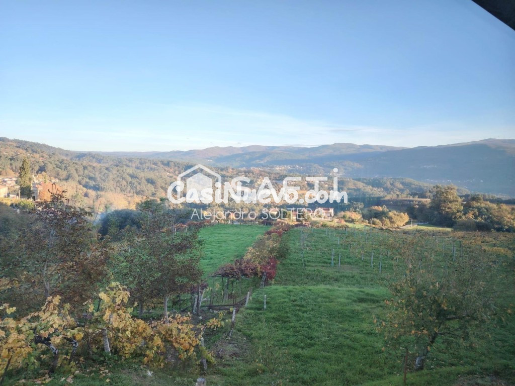 Tu refugio en zona vinícola, naturaleza y vistas - foto 8