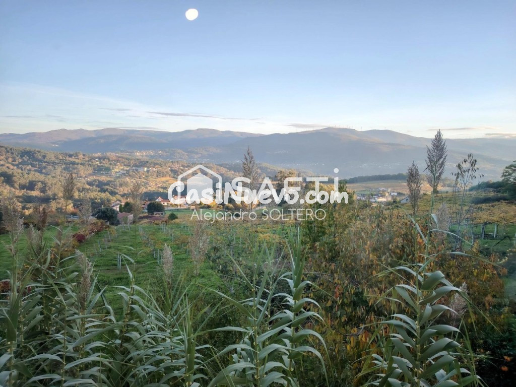 Tu refugio en zona vinícola, naturaleza y vistas - foto 29