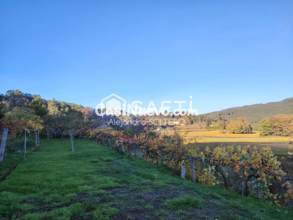 Tu refugio en zona vinícola, naturaleza y vistas - foto 37