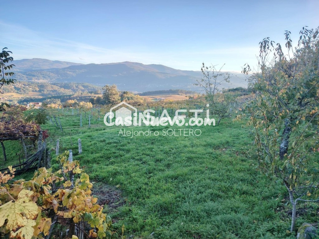 Tu refugio en zona vinícola, naturaleza y vistas - foto 40