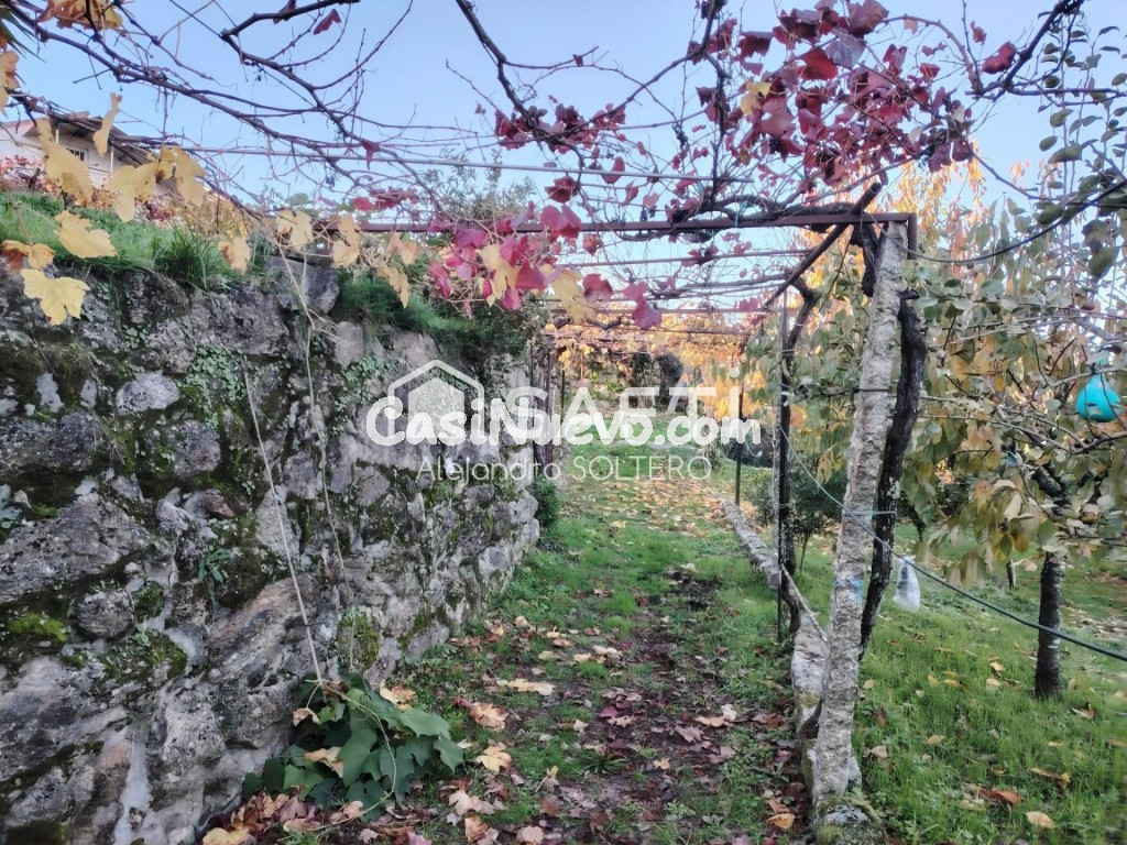 Tu refugio en zona vinícola, naturaleza y vistas - foto 43
