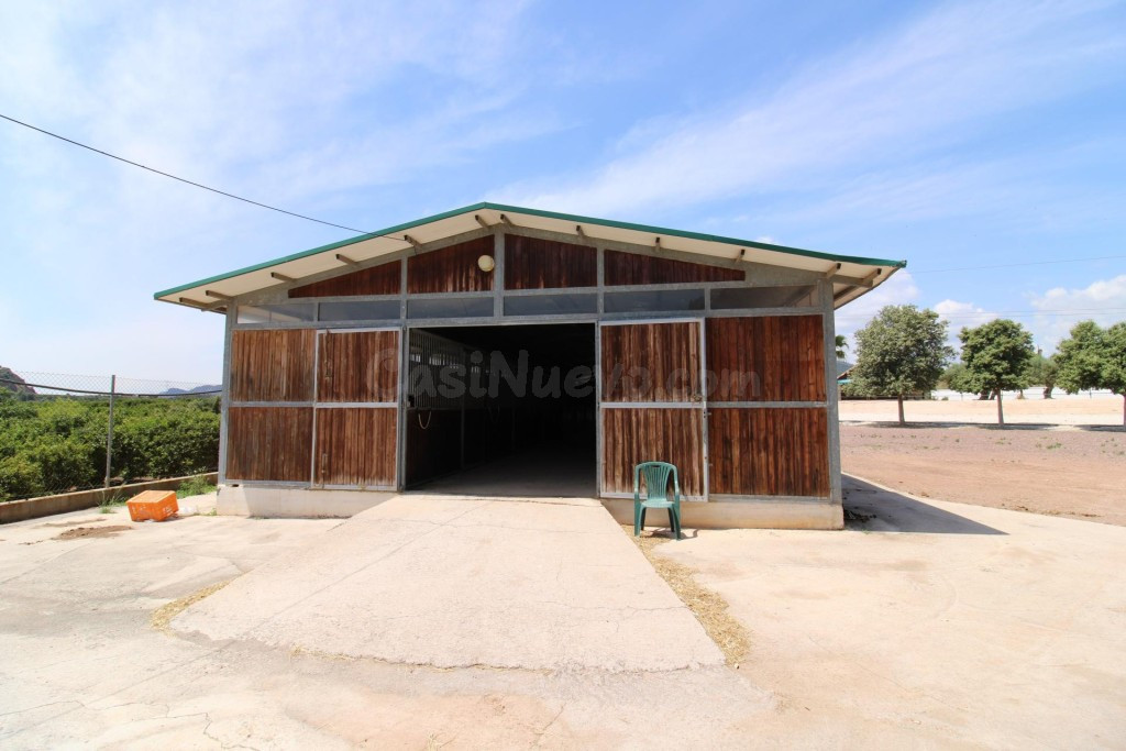 Terreno hipica en Almenara