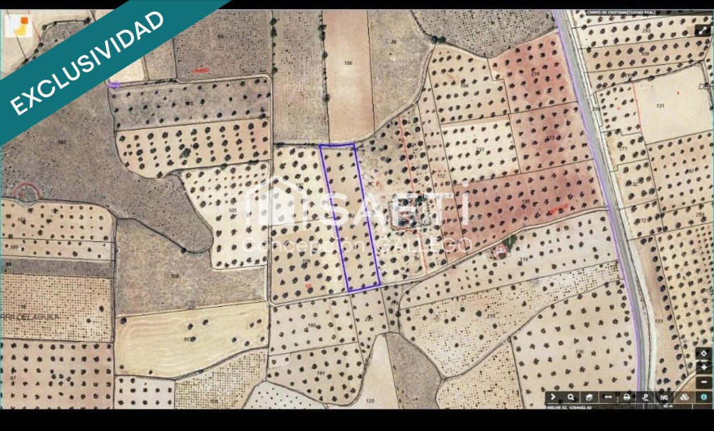 Terreno de Secano con Plantación de Olivos en Campo de Criptana