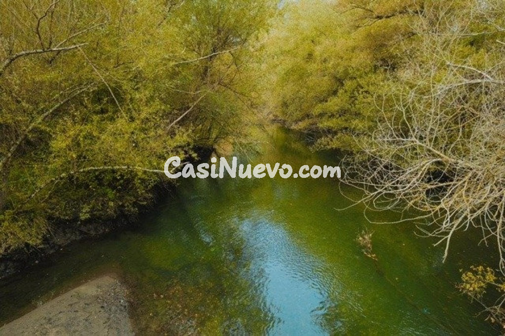 Tu refugio en la Senda del Oso: naturaleza, montaña y un sin - foto 13