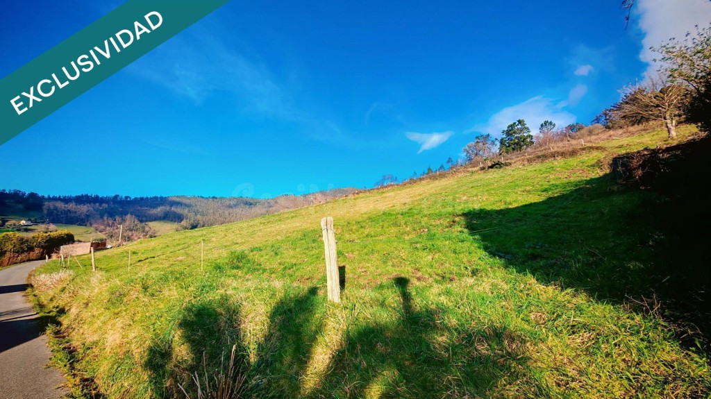 Oportunidad única: Dos fincas adyacentes en El Franco (Asturias) - foto 2