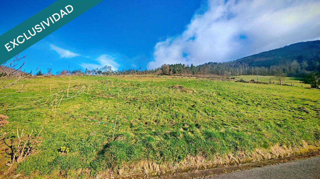 Oportunidad única: Dos fincas adyacentes en El Franco (Asturias) - foto 3
