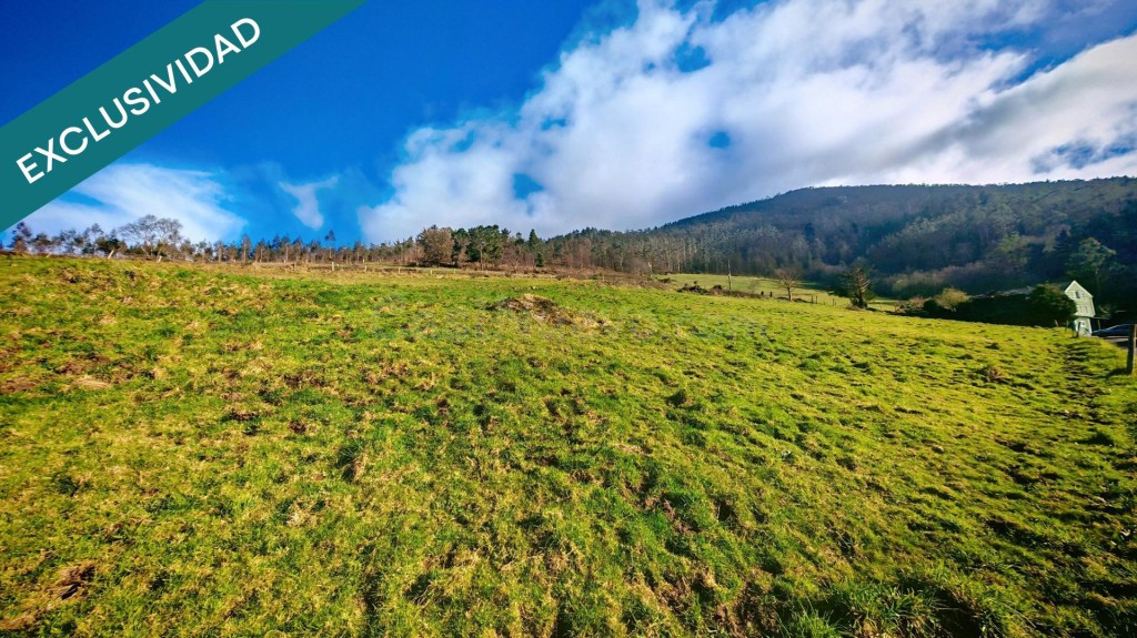 Oportunidad única: Dos fincas adyacentes en El Franco (Asturias) - foto 5