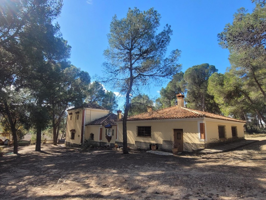 EXCELENTE OPORTUNIDAD!. FINCA AGRICOLA EN ONTINYENT CON GRAN - foto 2