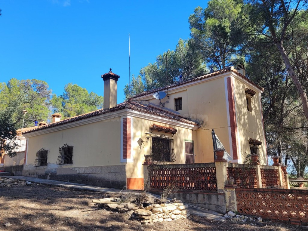 EXCELENTE OPORTUNIDAD!. FINCA AGRICOLA EN ONTINYENT CON GRAN - foto 3