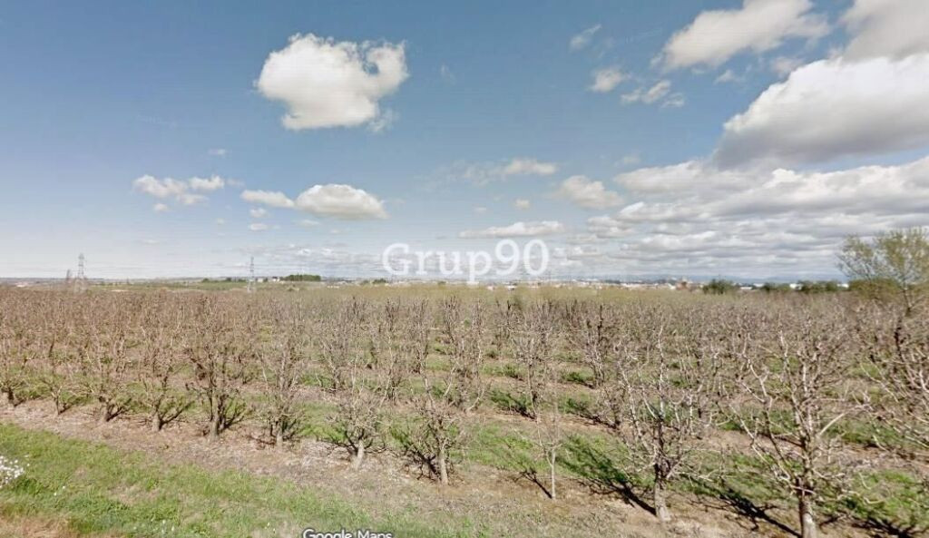 ? Se venden 3 fincas rústicas en Albatàrrec – 36.860 m2 (posibilidad de venta por separado)