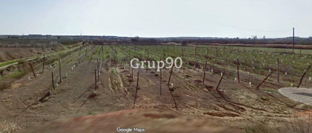 ? Se venden 3 fincas rústicas en Albatàrrec – 36.860 m2 (posibilidad de venta por separado) - foto 4