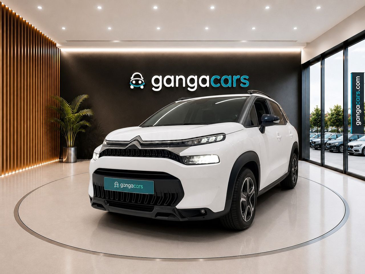 Citroën C3 Aircross PureTech 81kW (110CV) S&S Feel