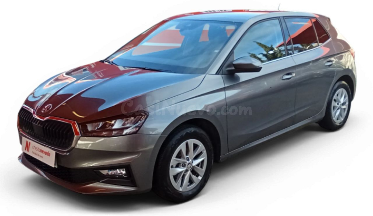 Skoda Fabia 1.0 MPI 59KW 80CV Selection