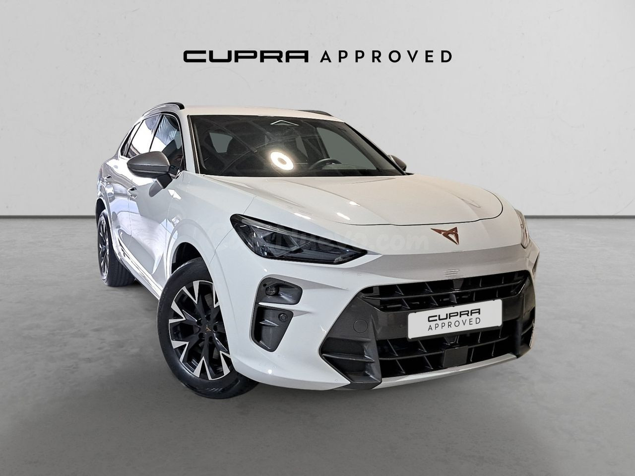 Cupra Terramar CUPRA Terramar 1.5 eHYBRID 150 KW (204 CV) DSG 6 vel
