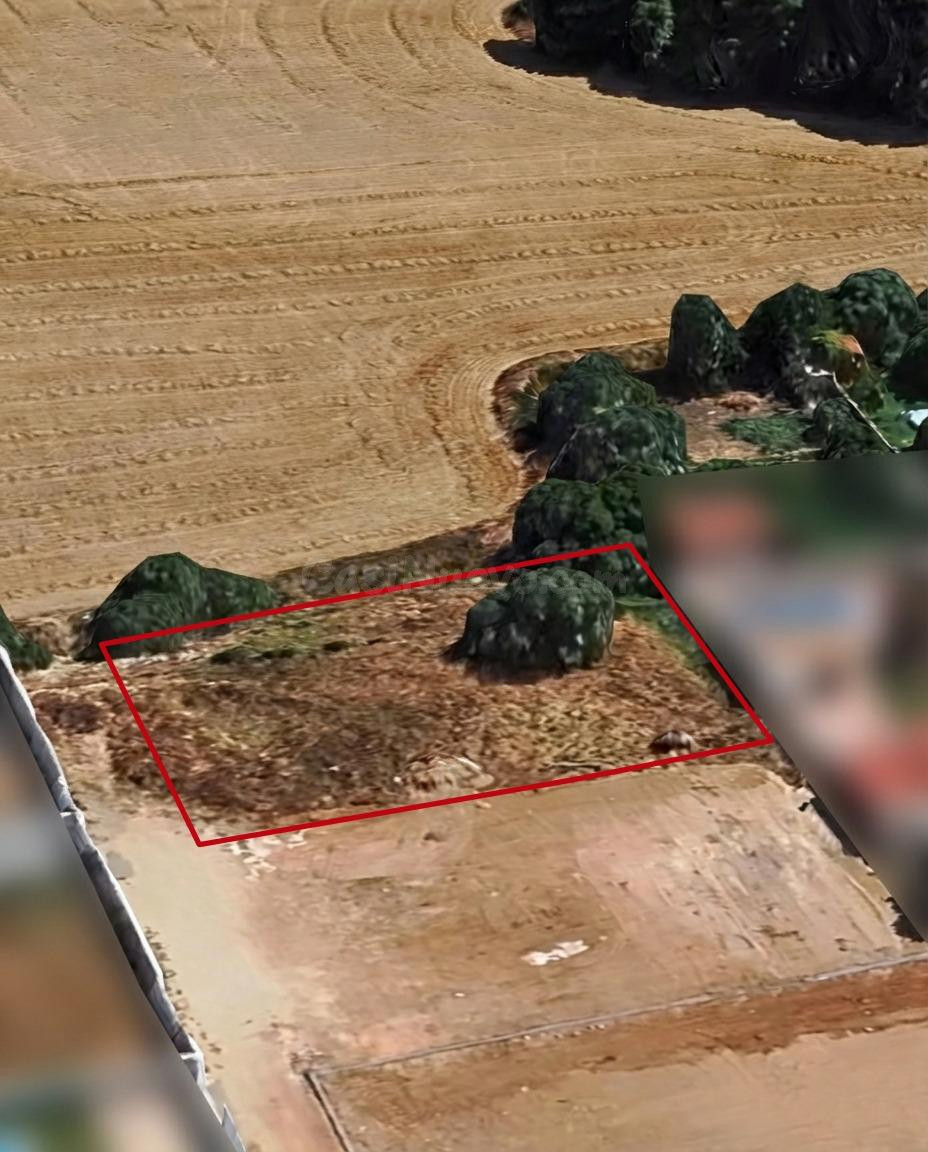 Parcela 1.000m² en El Sotillo, inversión ideal