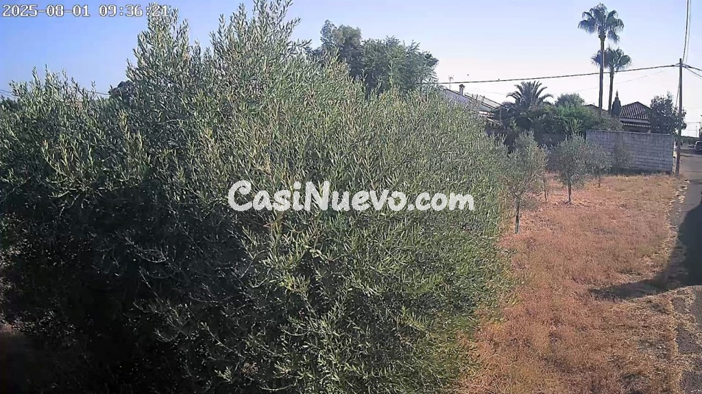 Casa de campo-Masía en Venta en Pinedas, Las Córdoba - foto 16