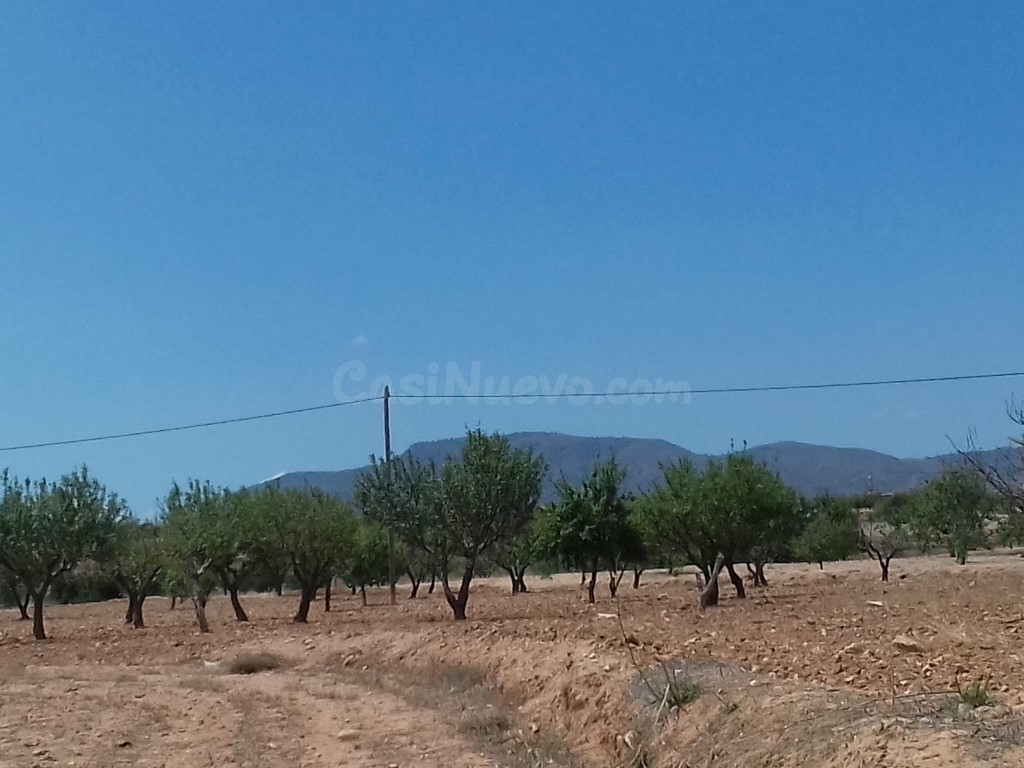 Suelo rústico en Venta en Blases, Los (Cuesta Blanca) Murcia - foto 4