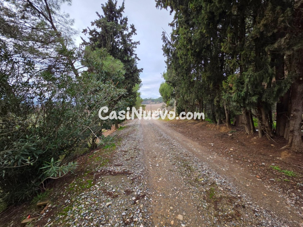 Finca rústica excepcional de 4 hectáreas con vivienda y alma - foto 3