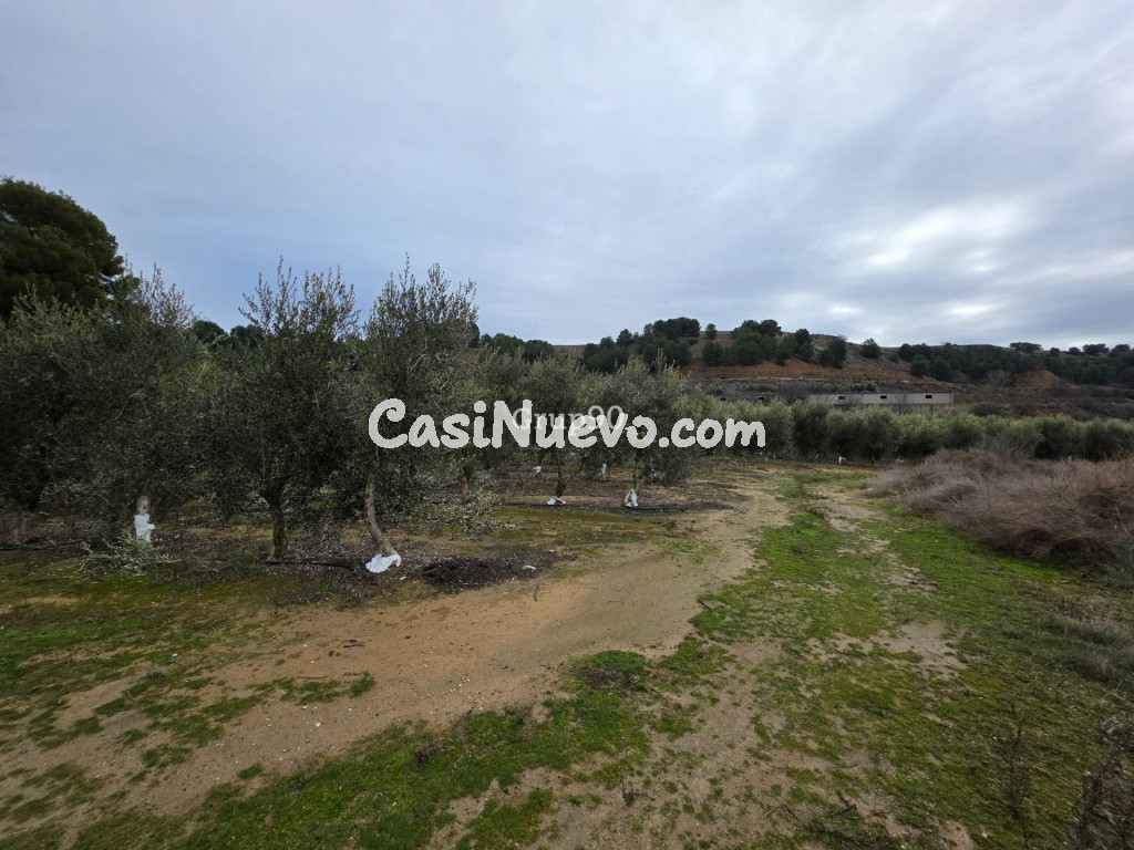 Finca rústica excepcional de 4 hectáreas con vivienda y alma - foto 4
