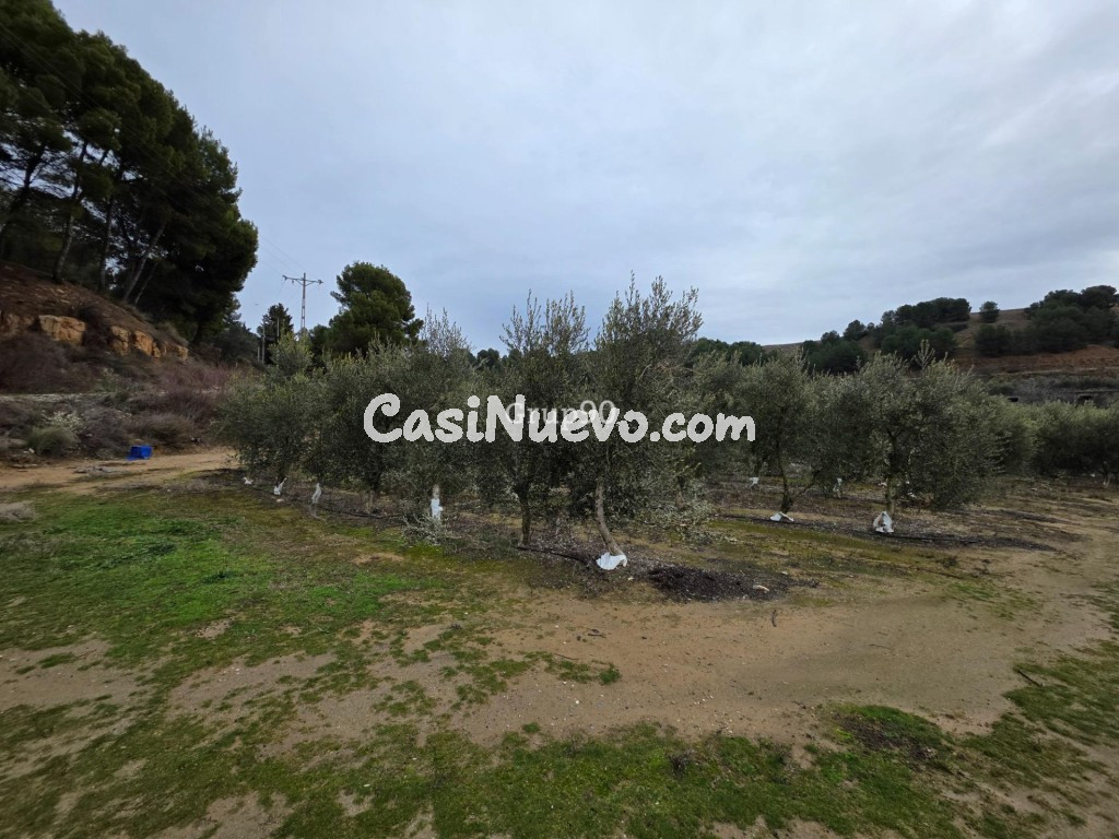 Finca rústica excepcional de 4 hectáreas con vivienda y alma - foto 5