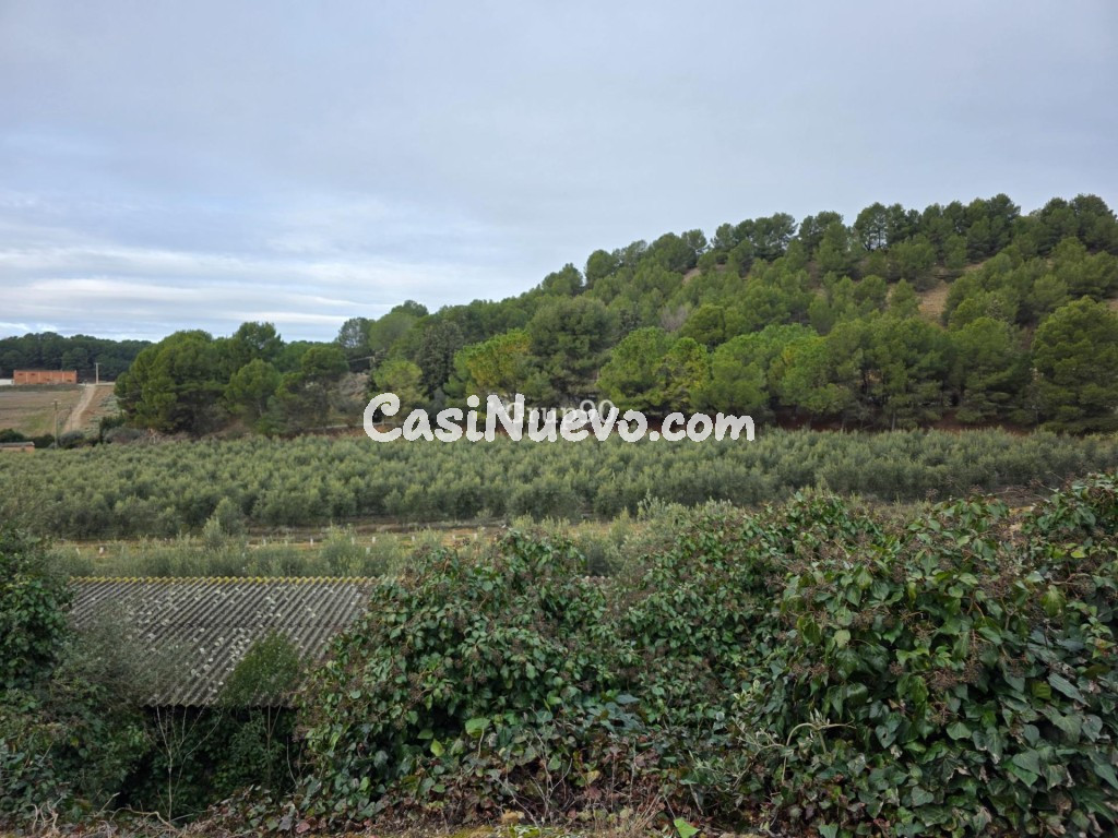Finca rústica excepcional de 4 hectáreas con vivienda y alma - foto 7