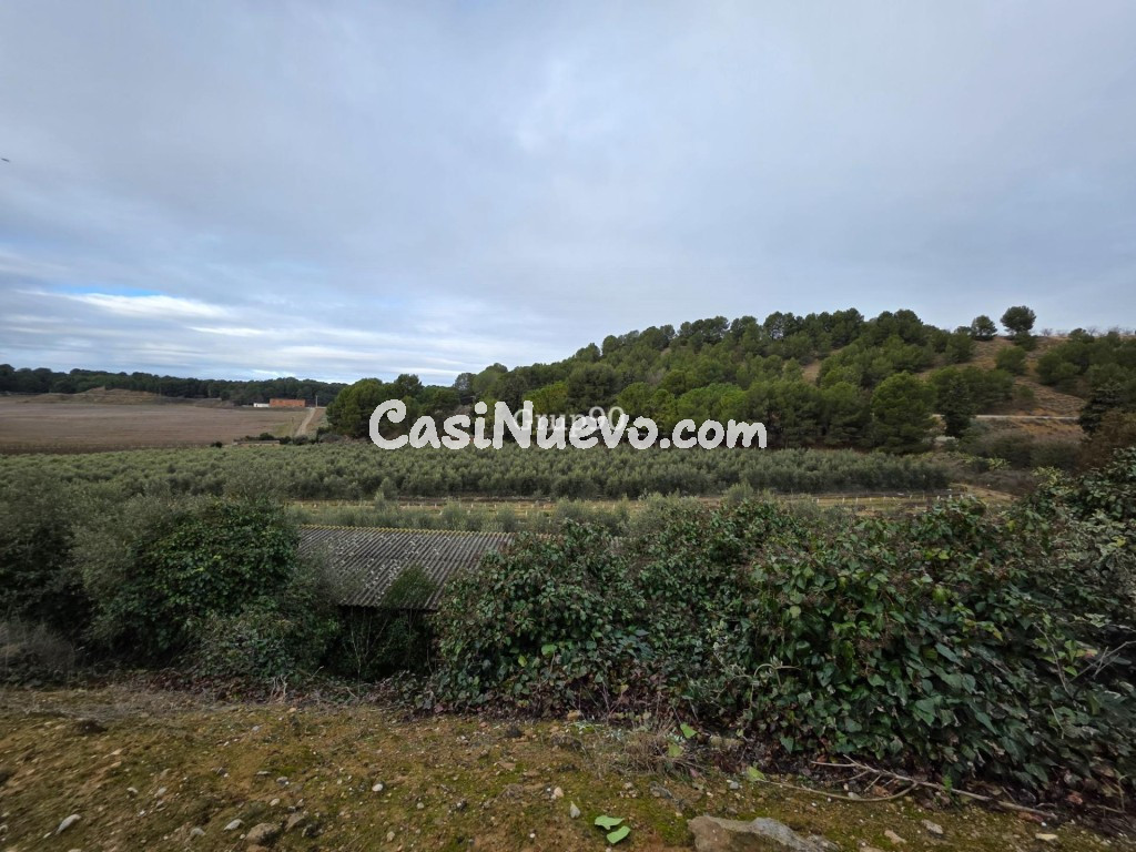 Finca rústica excepcional de 4 hectáreas con vivienda y alma - foto 8