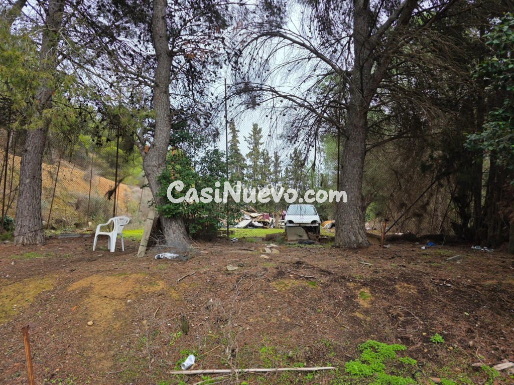 Finca rústica excepcional de 4 hectáreas con vivienda y alma - foto 10