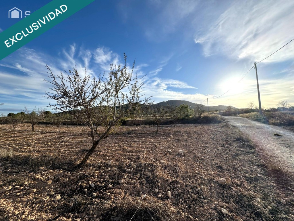 EXCLUSIVA OPORTUNIDAD – PARCELAS RÚSTICAS EN CASAS DE SANCHI