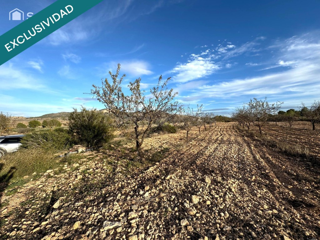 EXCLUSIVA OPORTUNIDAD – PARCELAS RÚSTICAS EN CASAS DE SANCHI - foto 4