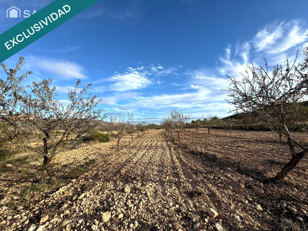 EXCLUSIVA OPORTUNIDAD – PARCELAS RÚSTICAS EN CASAS DE SANCHI - foto 5
