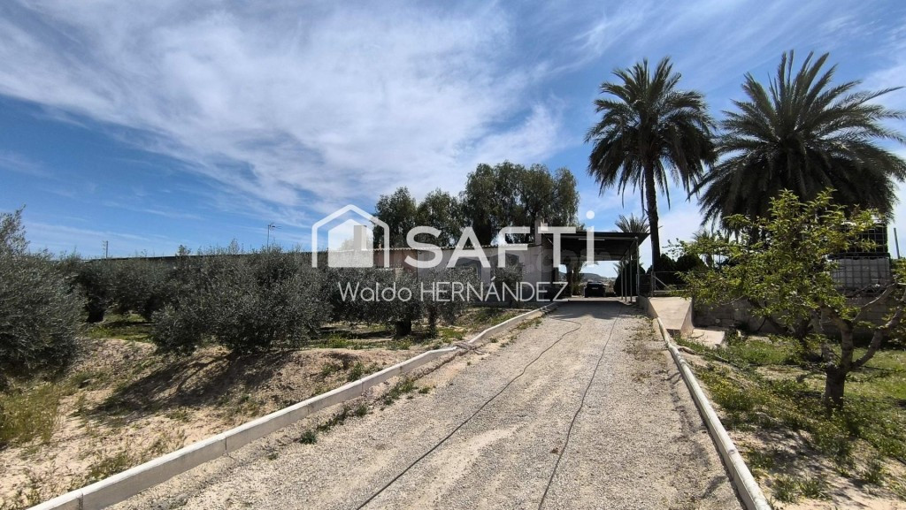 ¡¡¡NATURALEZA, ESPACIO Y CALIDAD DE VIDA A 15 MINUTOS DEL CENTRO DE MURCIA!!! - foto 3