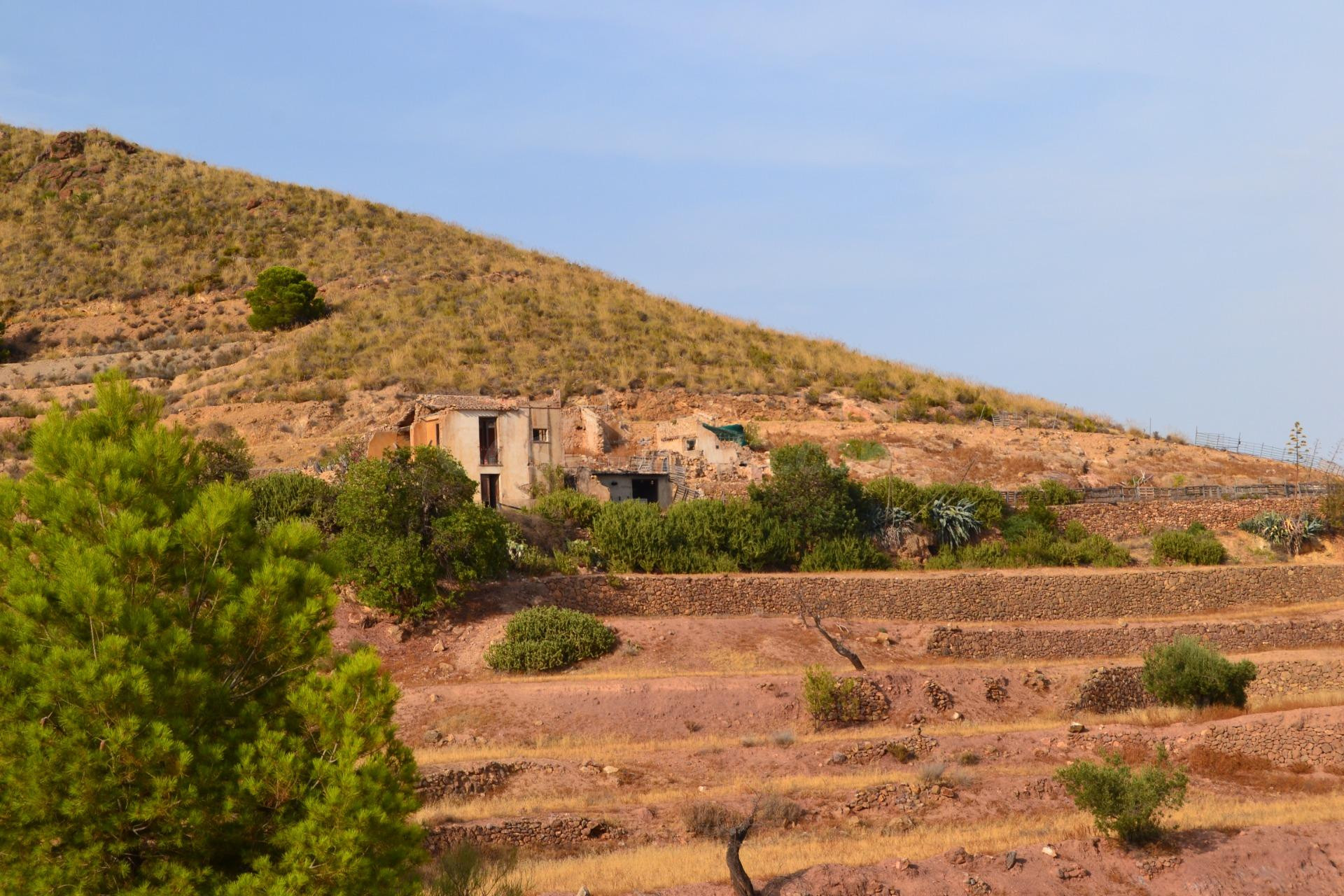 ^^FINCA RÚSTICA DE MÁS DE 2.500.000 M2 EN ALQUILER CON OPCIÓ - foto 5