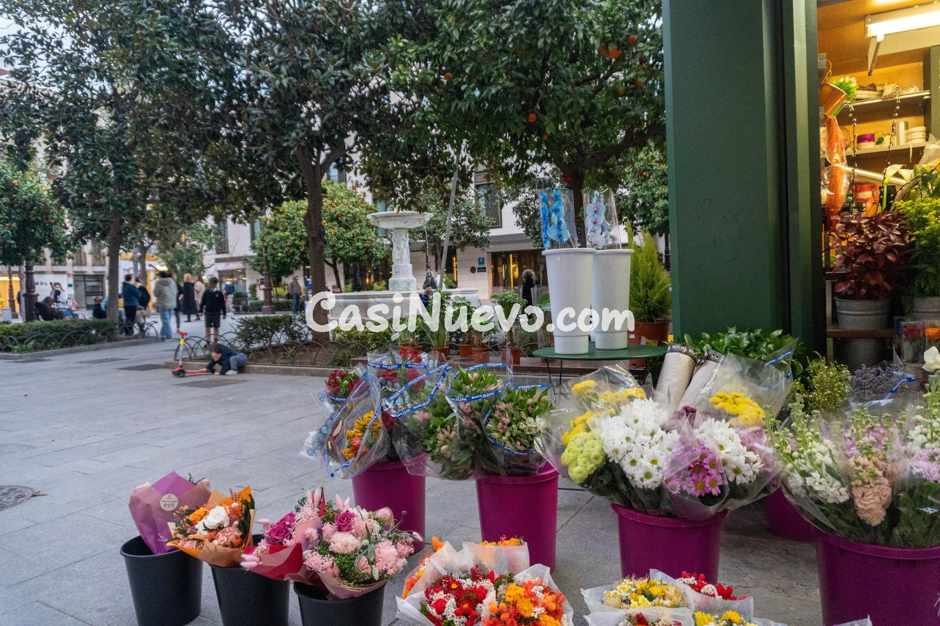 Exclusivo piso en Calle San Pablo! Vistas a la Giralda y gar - foto 14