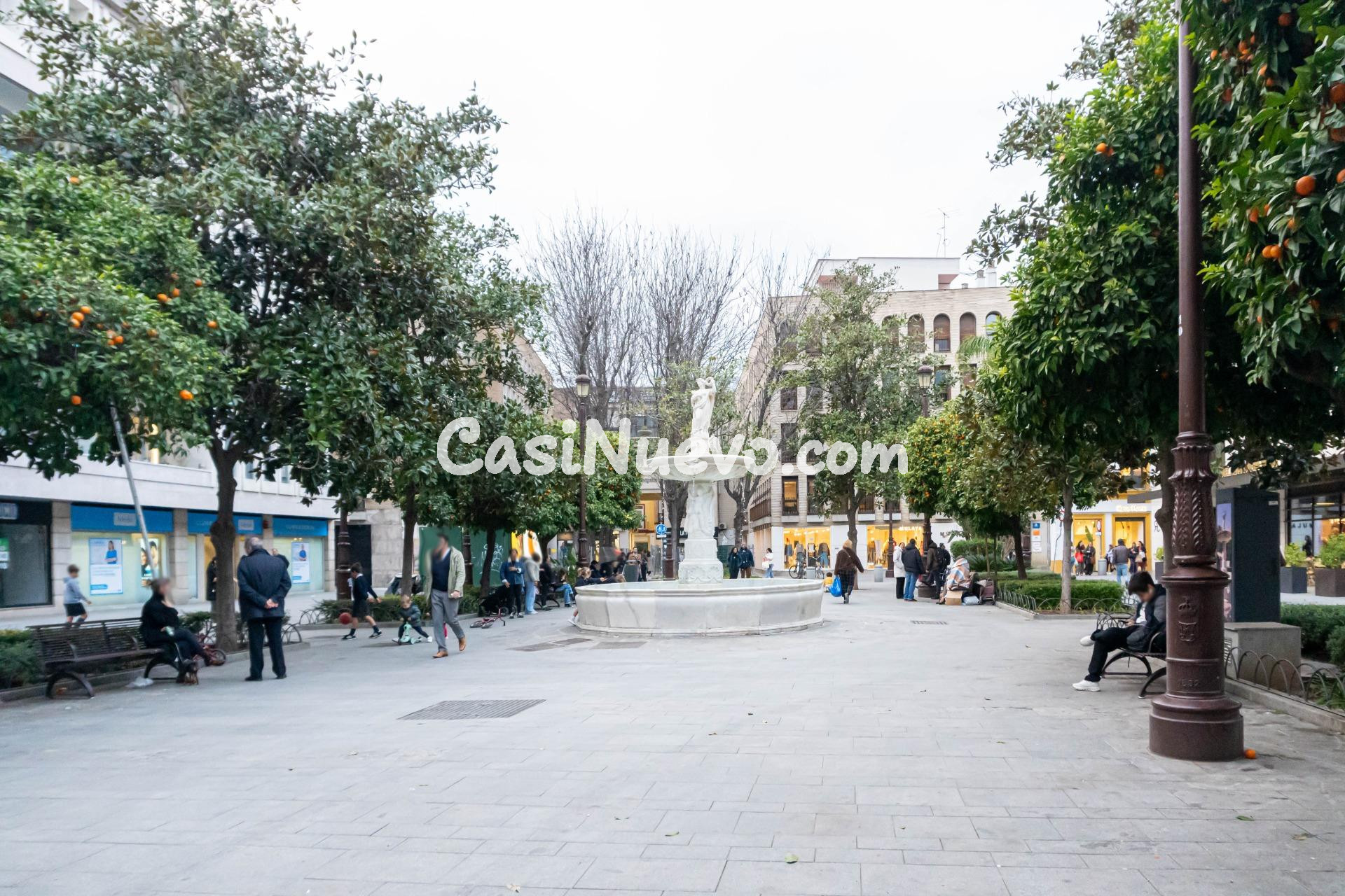 Exclusivo piso en Calle San Pablo! Vistas a la Giralda y gar - foto 15