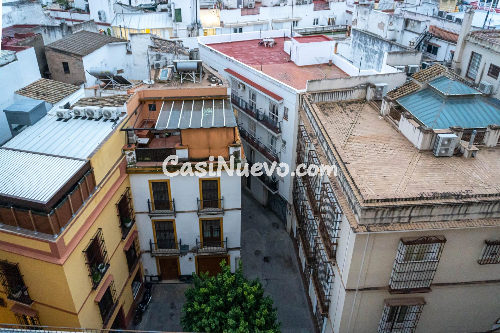 Exclusivo piso en Calle San Pablo! Vistas a la Giralda y gar - foto 17