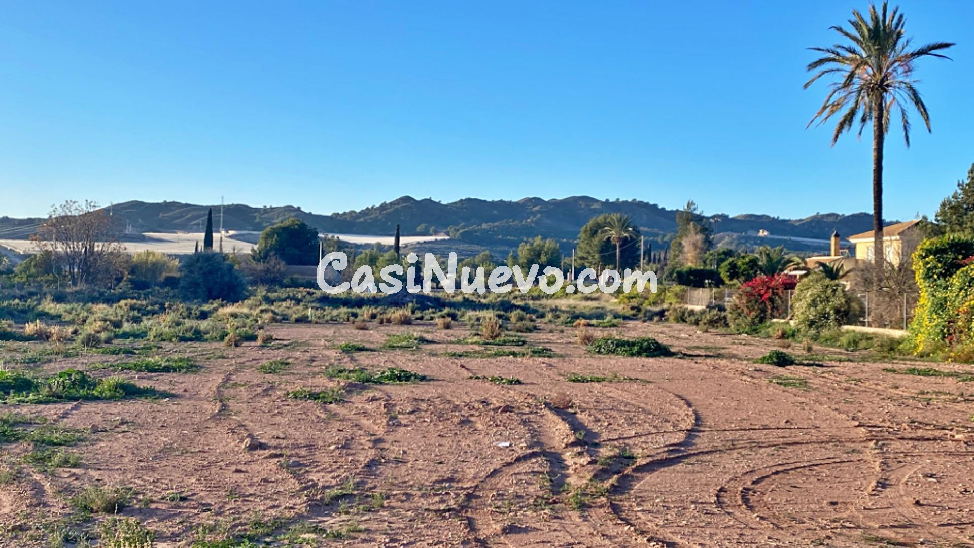 PARCELA RUSTICA EN CAMINO DE LOS MOLINOS - TOTANA