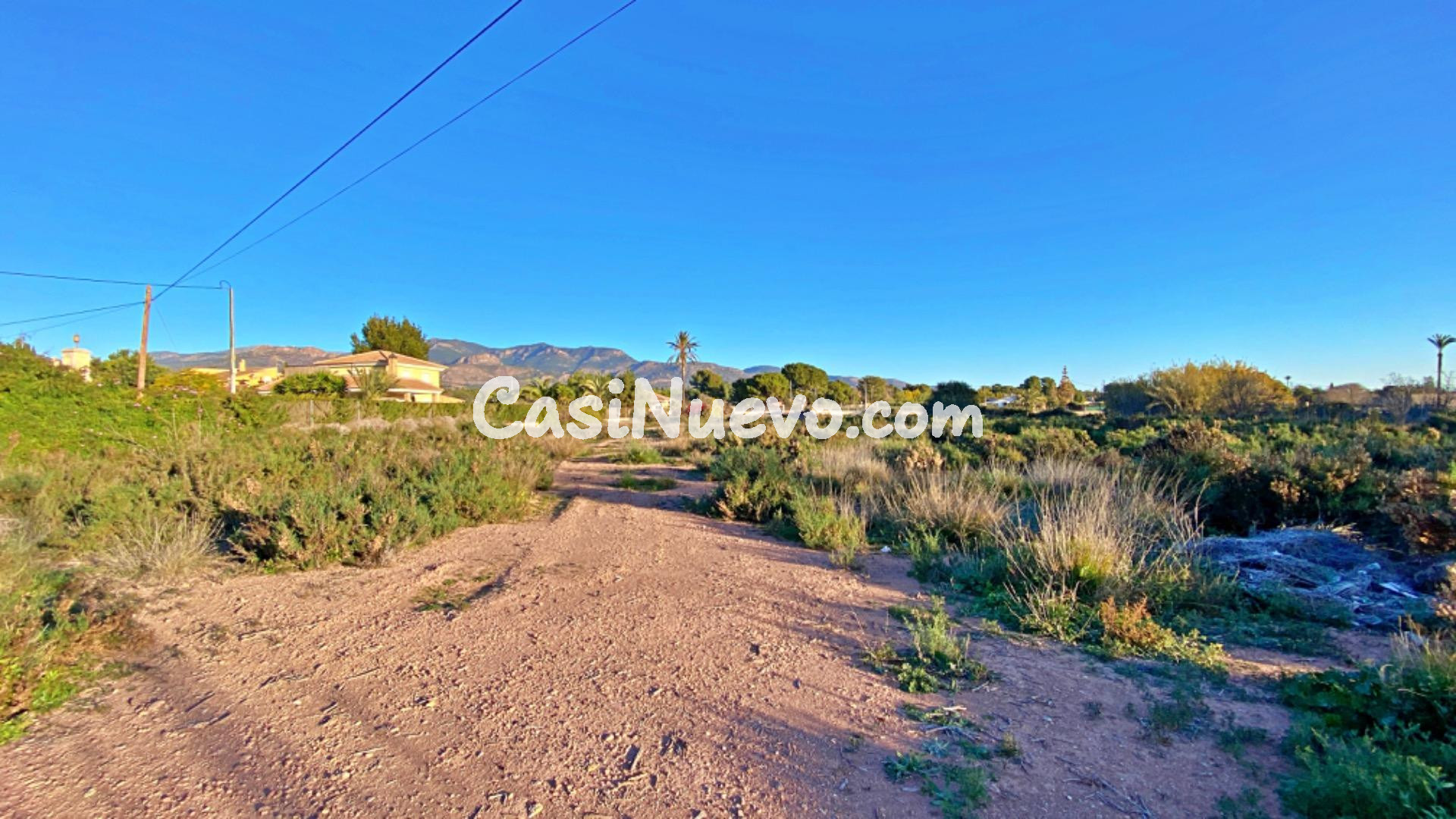 PARCELA RUSTICA EN CAMINO DE LOS MOLINOS - TOTANA - foto 2