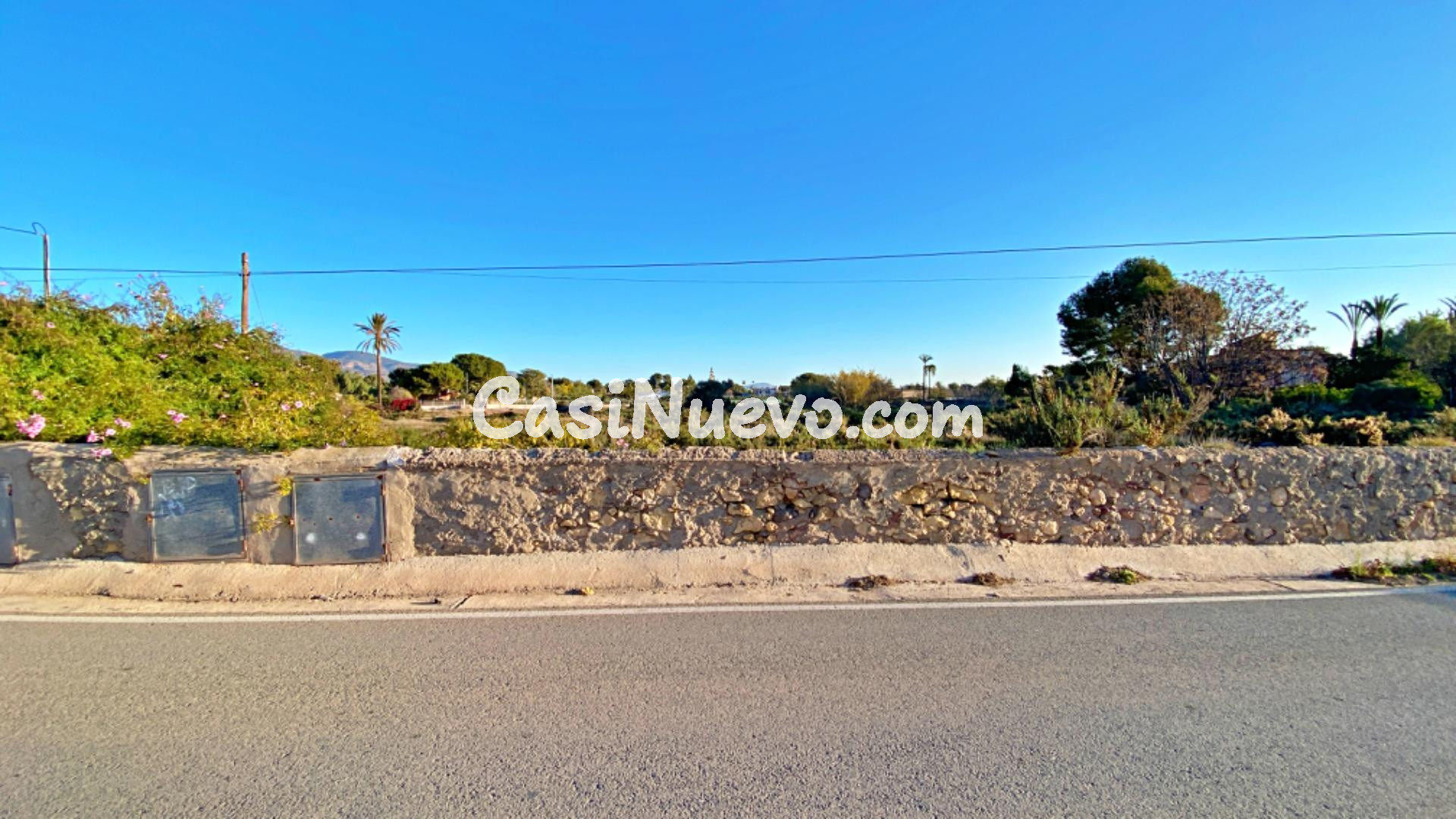 PARCELA RUSTICA EN CAMINO DE LOS MOLINOS - TOTANA - foto 3