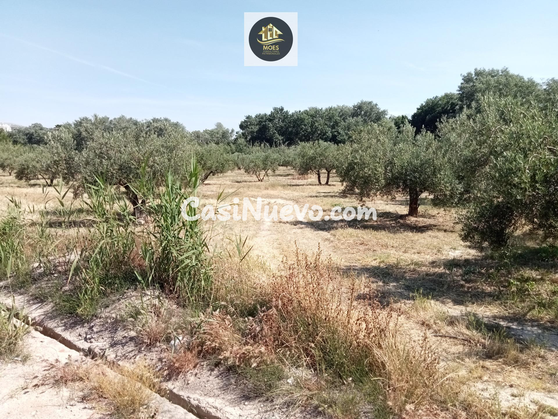 PARCELA EN PUENTE JONTOYA